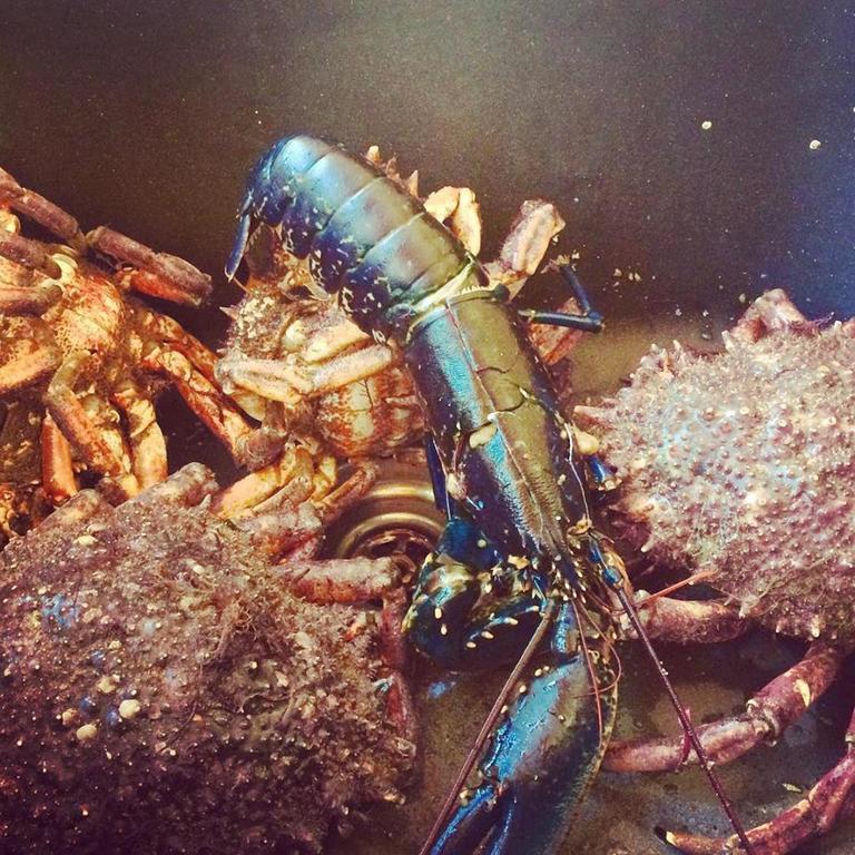Clifden Bay Lodge エクステリア 写真