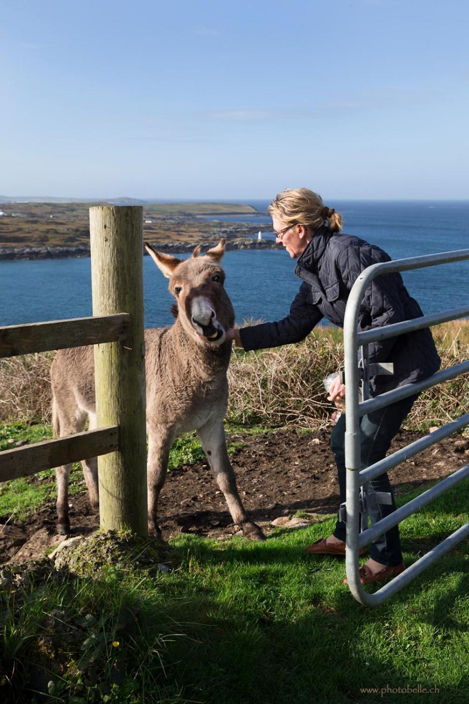 Clifden Bay Lodge エクステリア 写真
